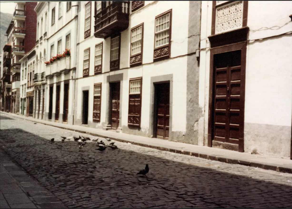 Calle Real